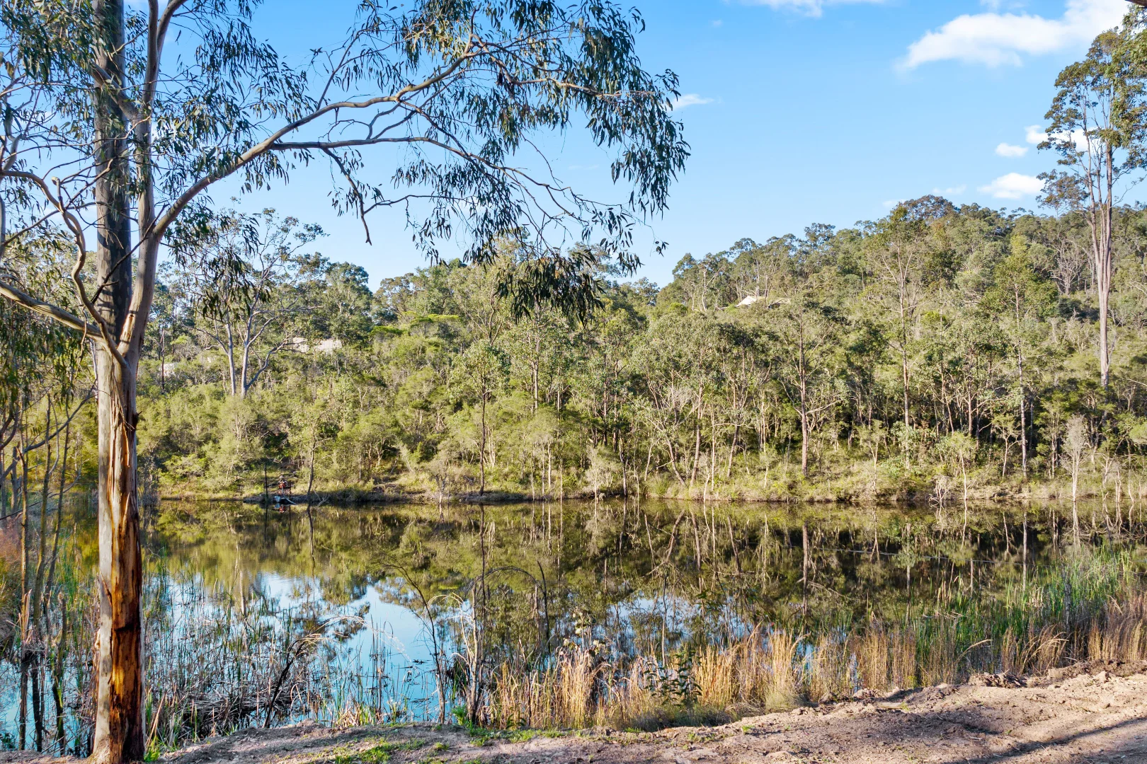 Additional image 27 of 588 Martins Creek Road, Paterson NSW 2421