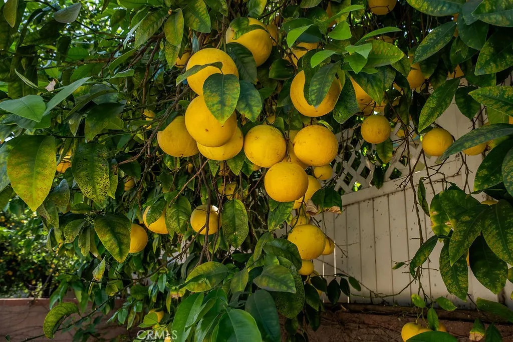 Additional image 70 of 340 E Old Mill Rd, Corona, CA 92879