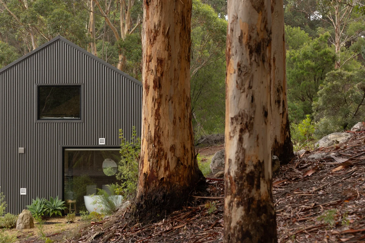 Additional image 6 of 40 Craig View, Shadforth WA 6333