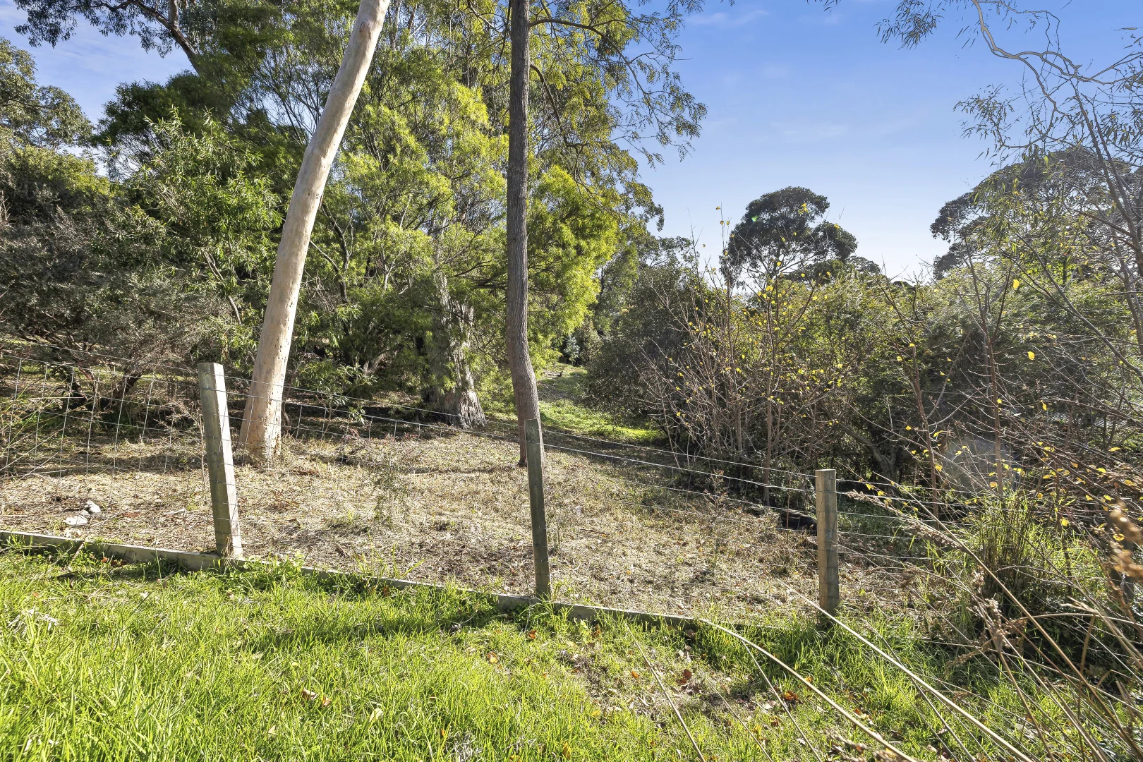 Additional image 6 of 10 Albert Street, Lorne VIC 3232