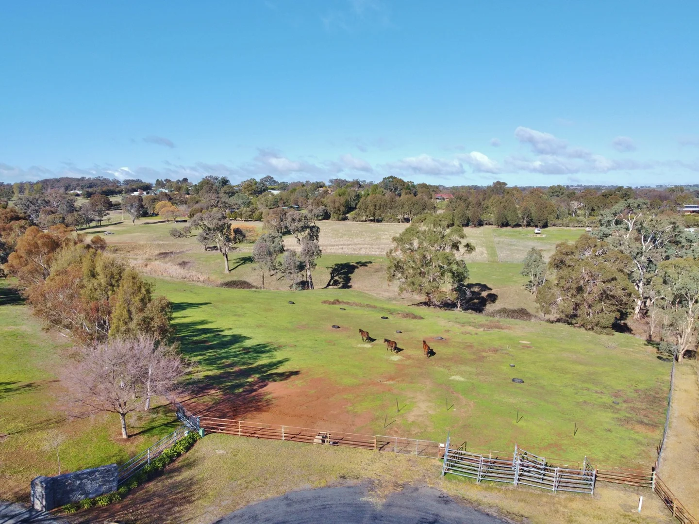 Additional image 2 of 77 Newton Road, Young NSW 2594
