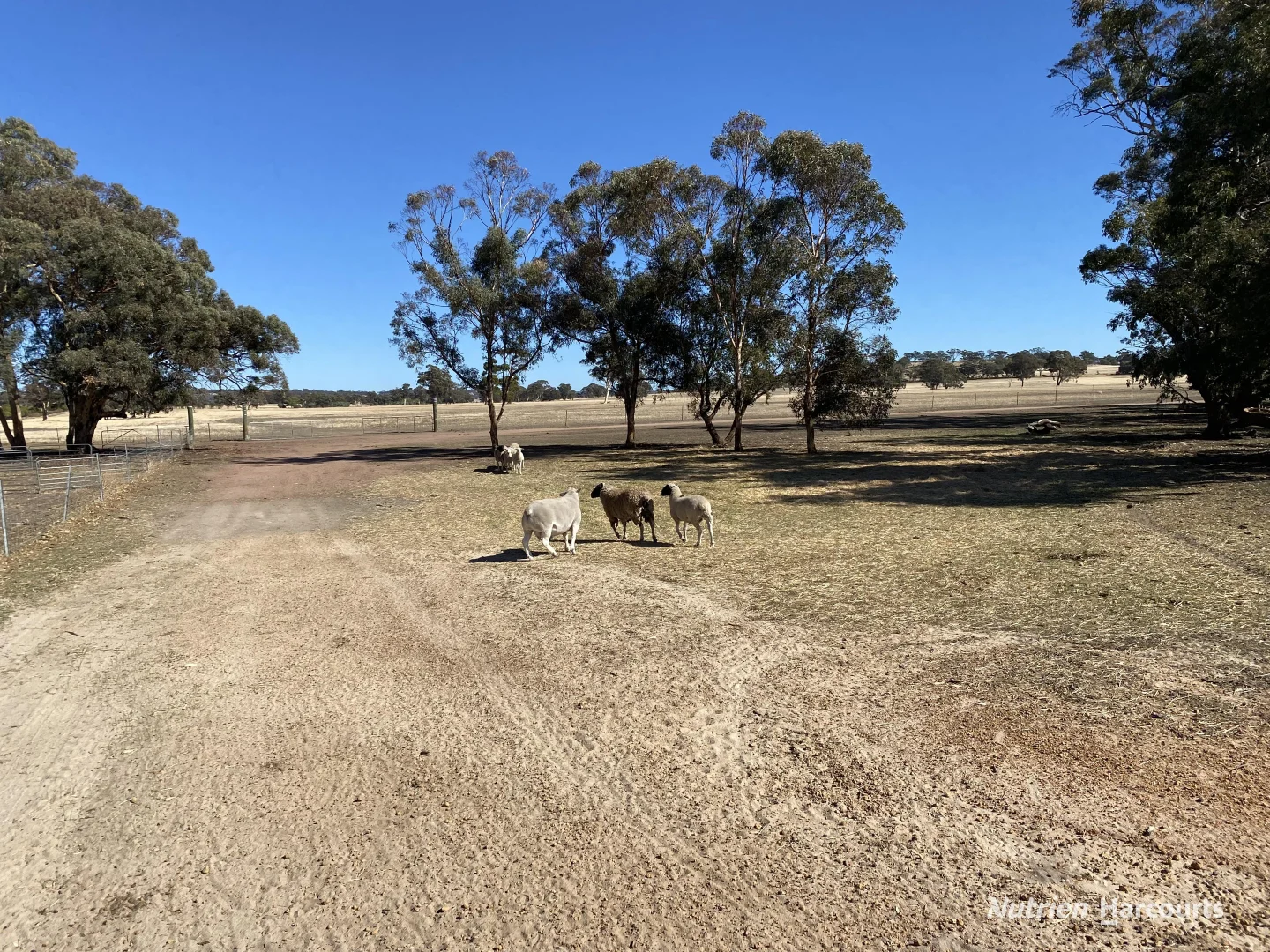 Additional image 6 of 401 York-Williams Road, Dale WA 6304