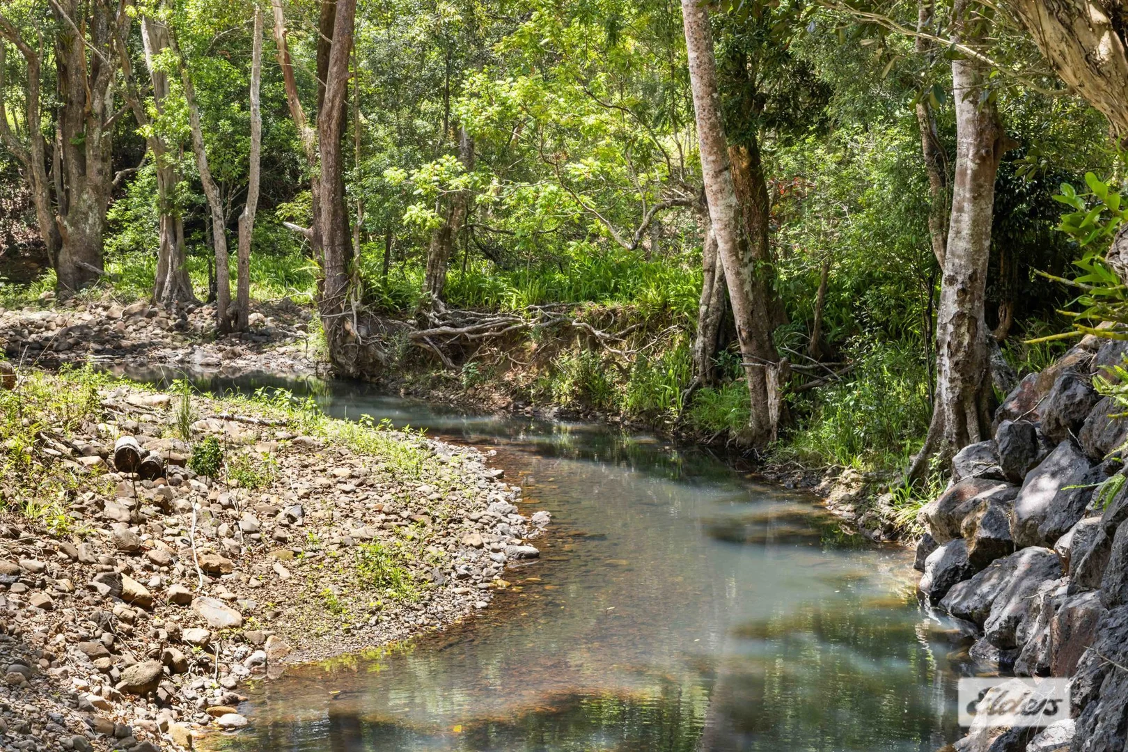 Additional image 3 of 1984 Numinbah Road, Numinbah NSW 2484