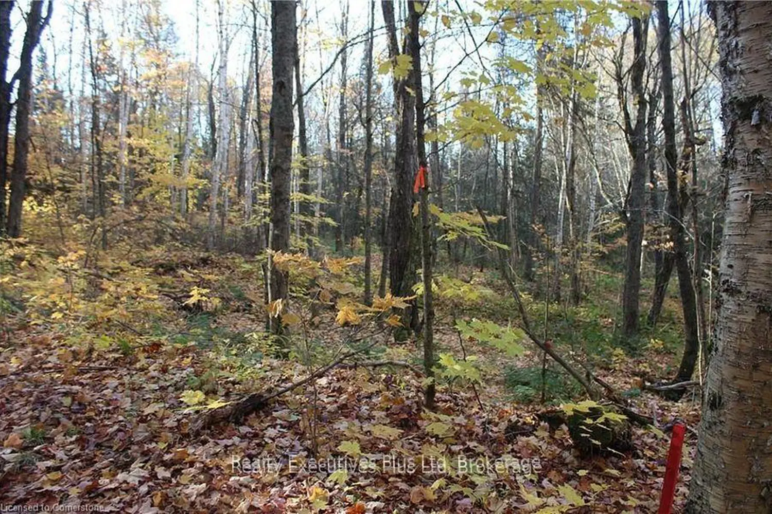 Additional image 3 of 00 Ottawa Avenue