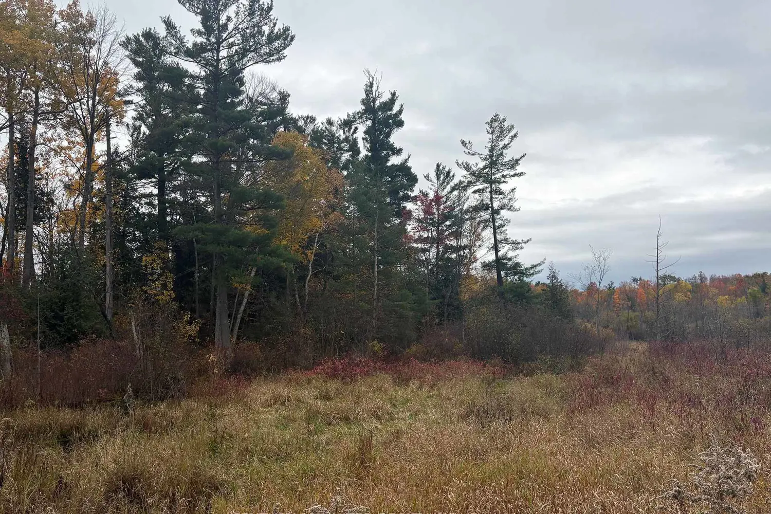 Additional image 7 of 0 Godolphin Road