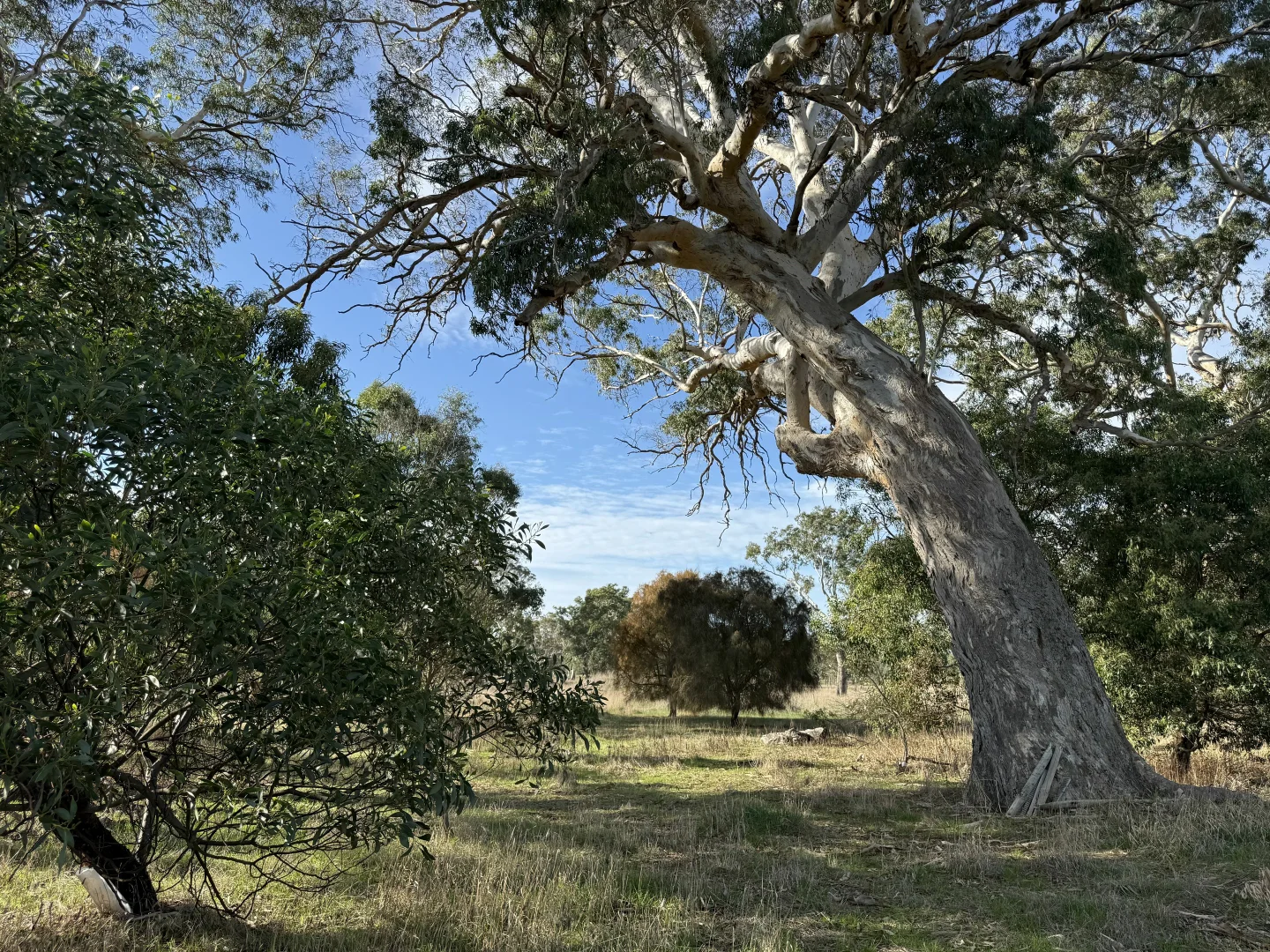 Additional image 10 of Lot 104 Dergholm Road, Penola SA 5277