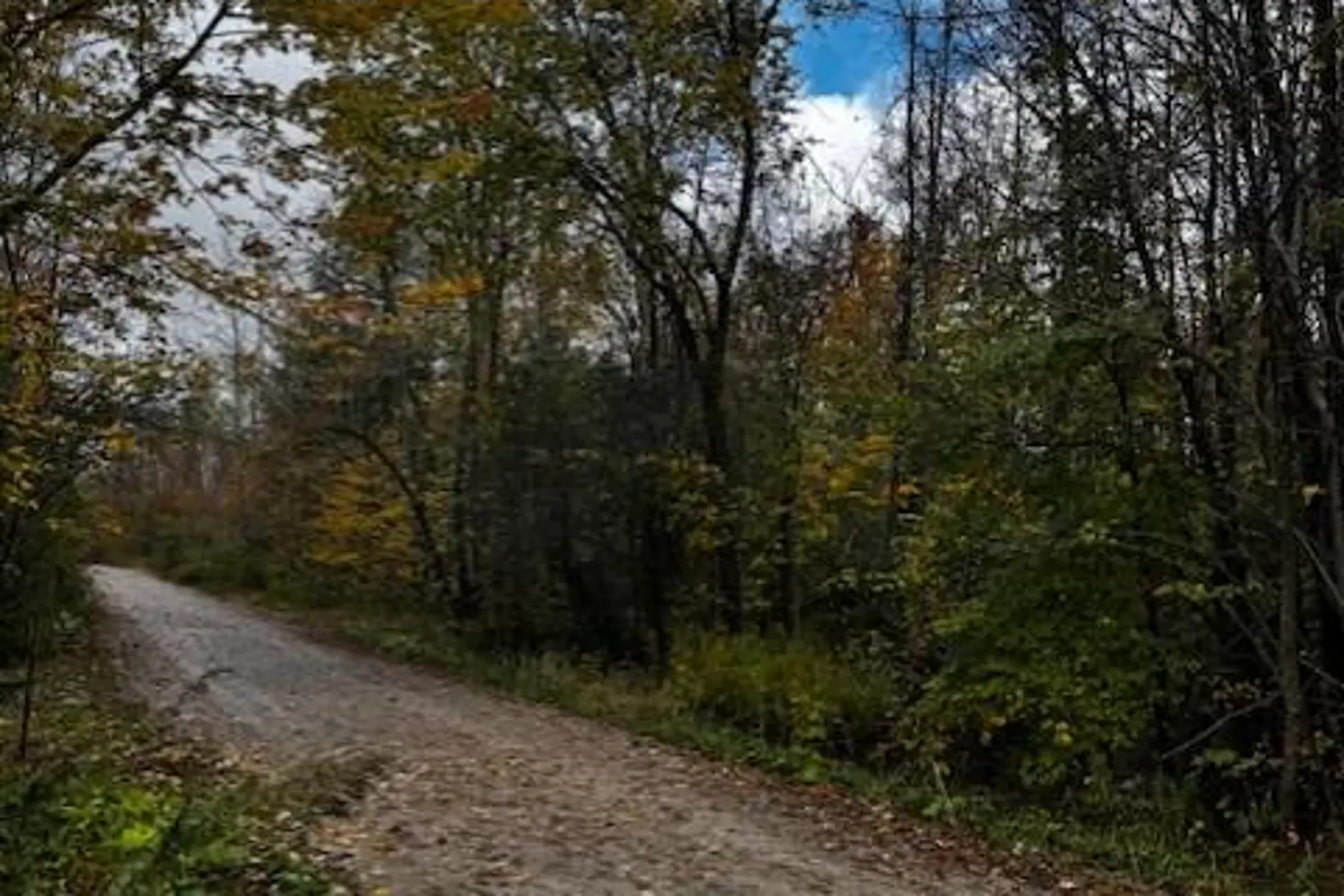 Additional image 5 of 78178 Lavrangue Drive