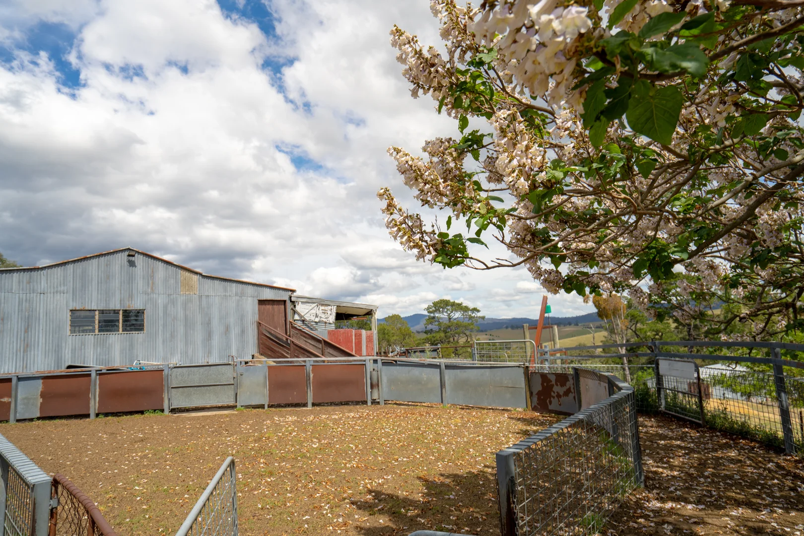 Additional image 13 of 6 Scott Road, Ensay VIC 3895