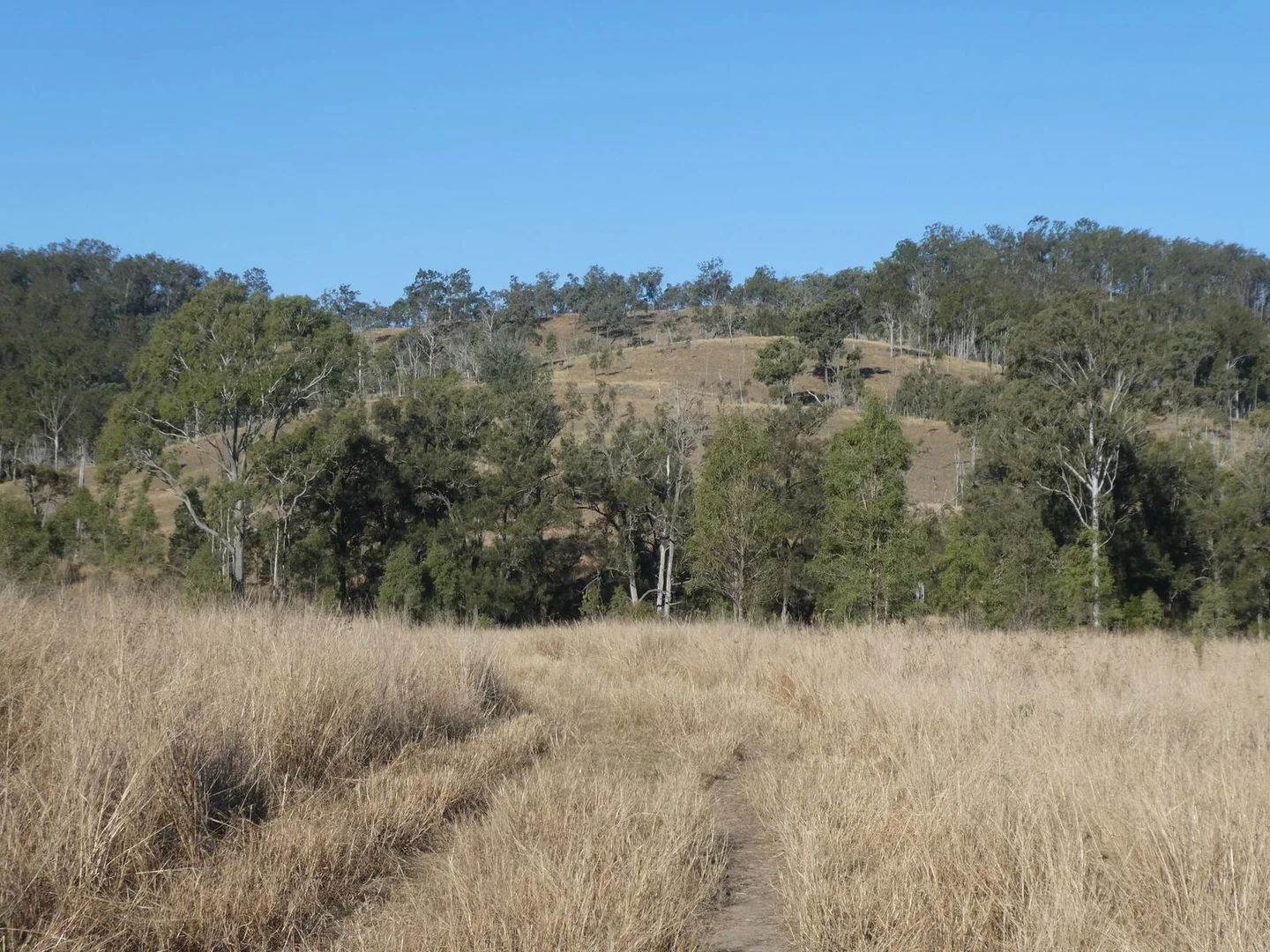 Additional image 32 of 4 Lots/NRN Monto Mount Perry Road, Mungy QLD 4671