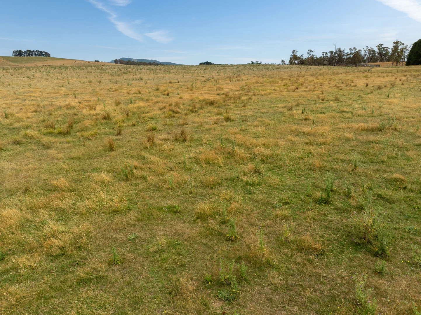 Additional image 33 of 'Top Farm' 1004 Neville-Trunkey Road, Neville NSW 2799