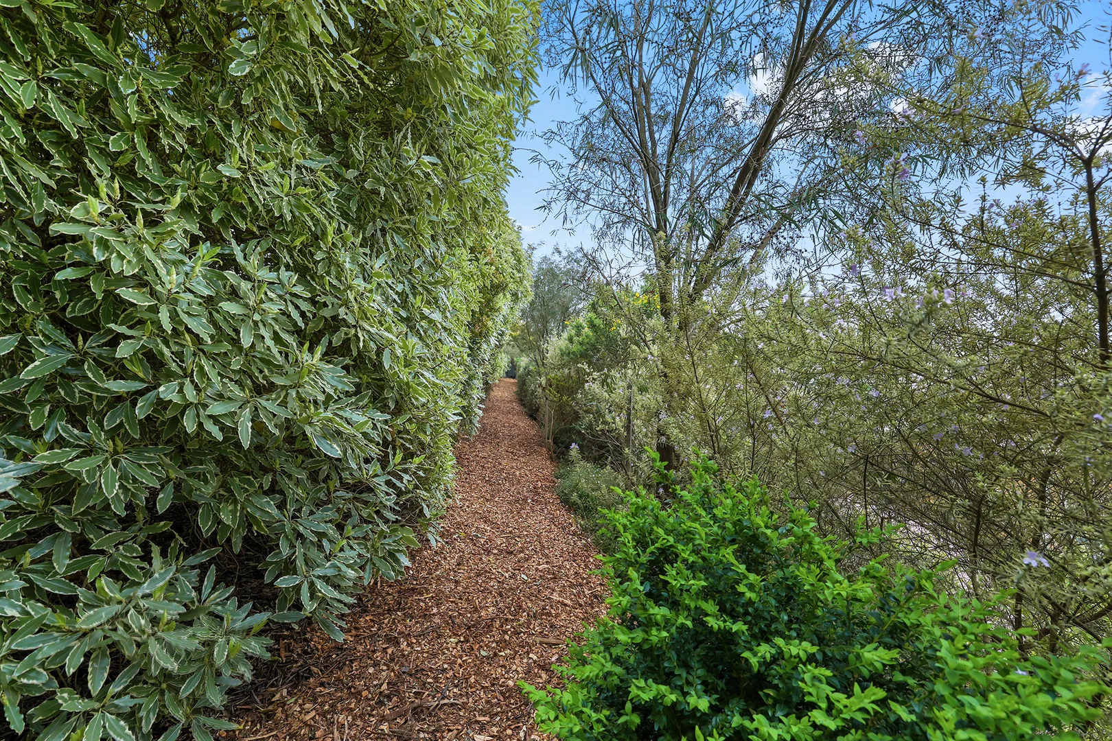 Additional image 27 of 105 Hopetoun Road, Drouin VIC 3818