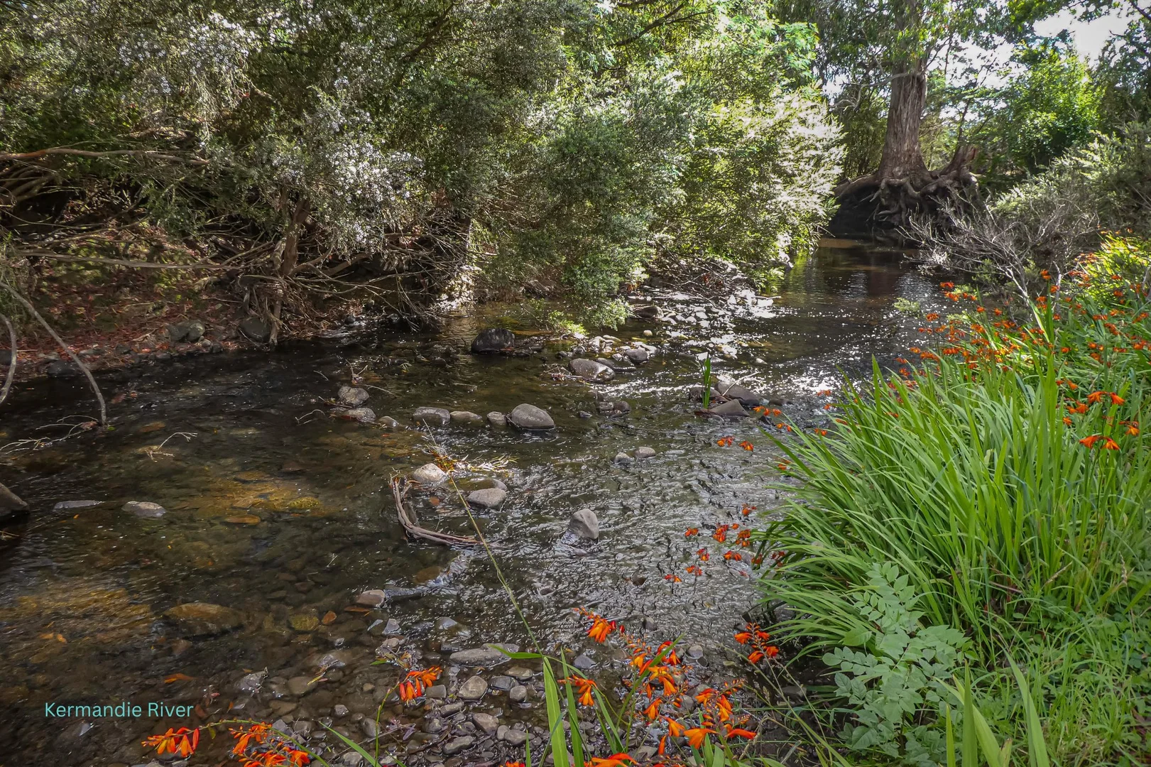 Additional image 14 of 2 Huon Highway, Geeveston TAS 7116