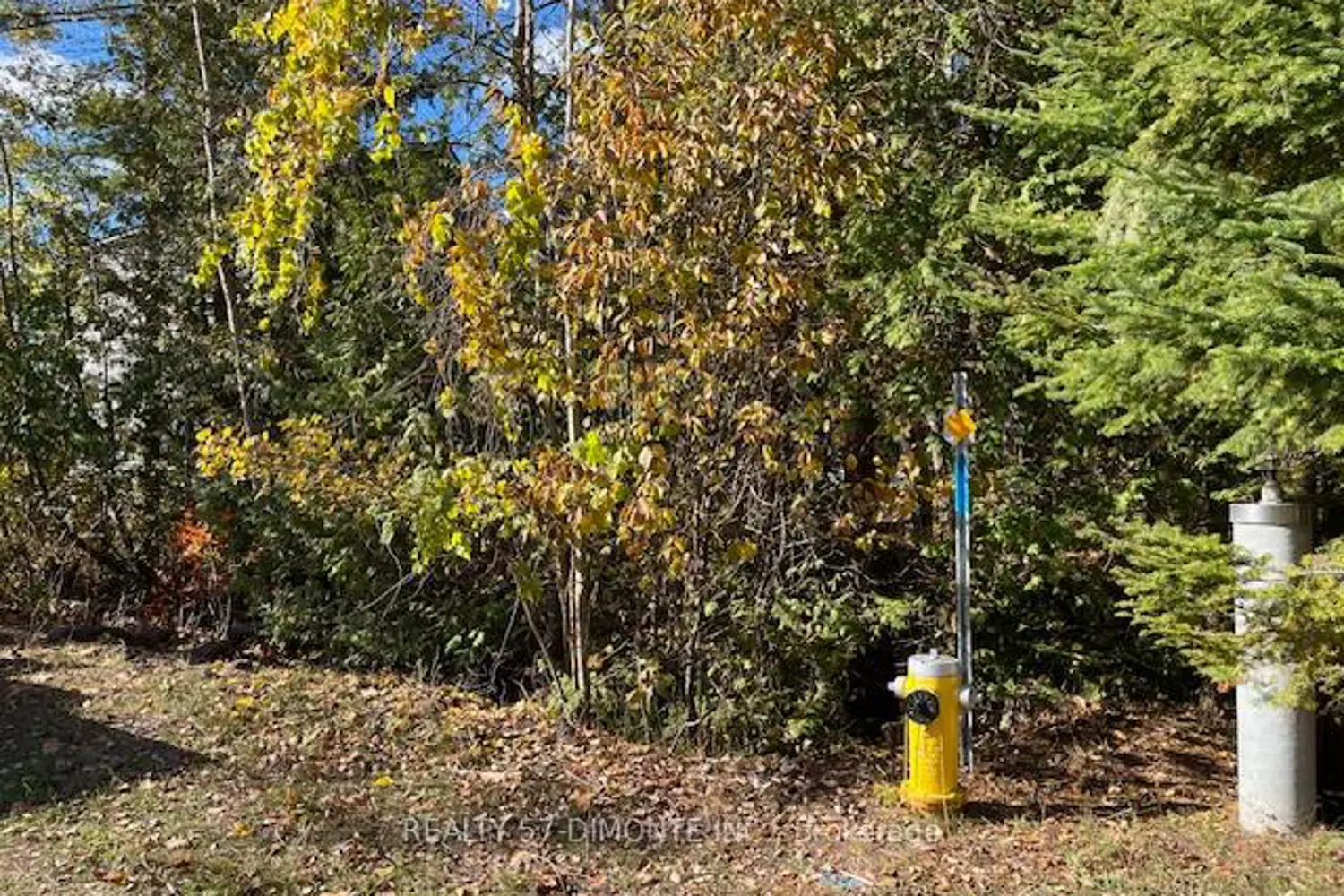 Additional image 2 of 00000 River Road