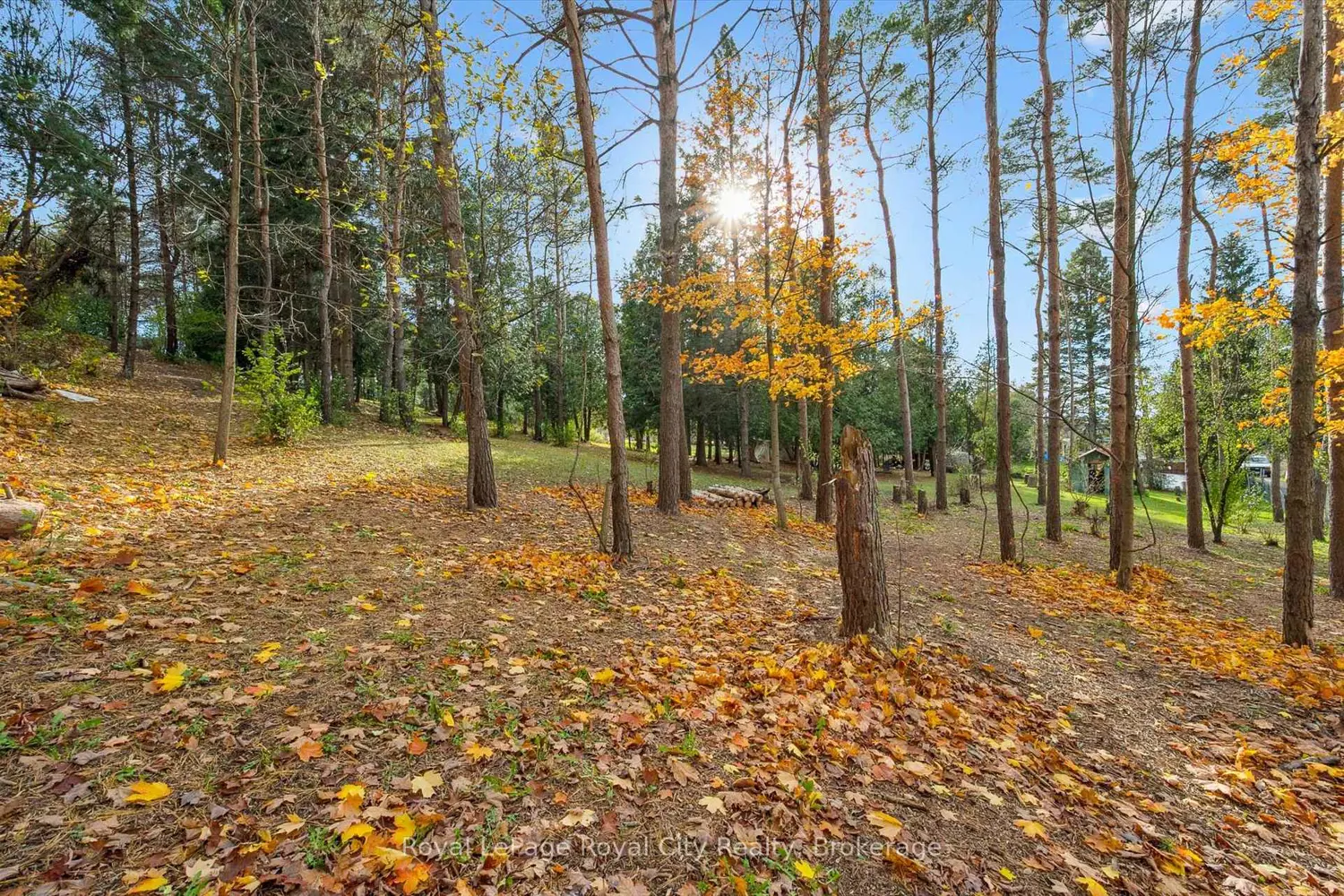 Additional image 17 of 4769 Wellington Road 32 Road