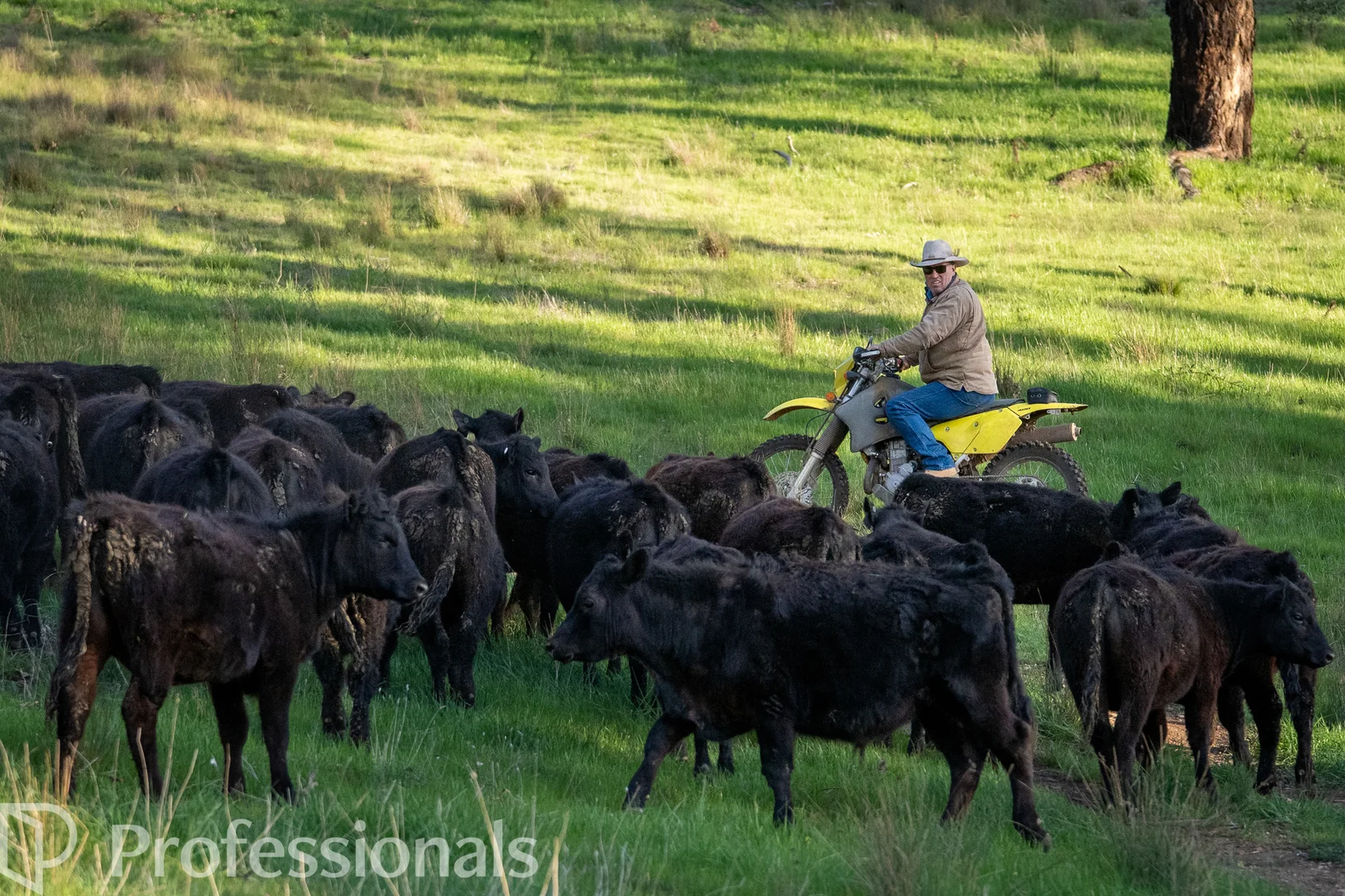 Additional image 51 of 361 Dicksons Lane, Orange NSW 2800