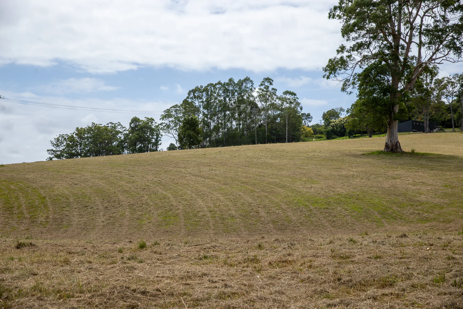 Additional image 26 of 300 Martells Road, Bellingen NSW 2454