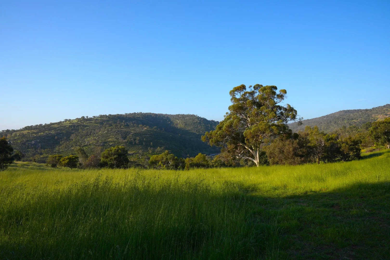 Additional image 9 of 839 Campersic Road, Brigadoon WA 6069