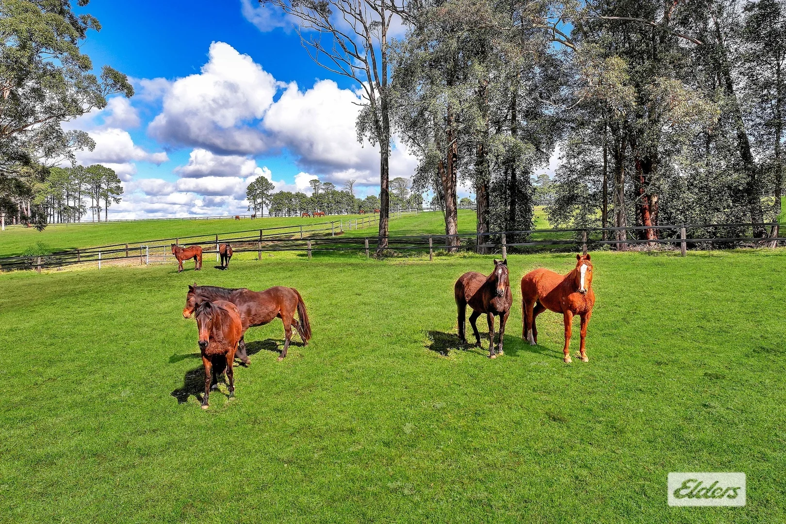 Additional image 6 of 271 Williams Road, Kulnura NSW 2250
