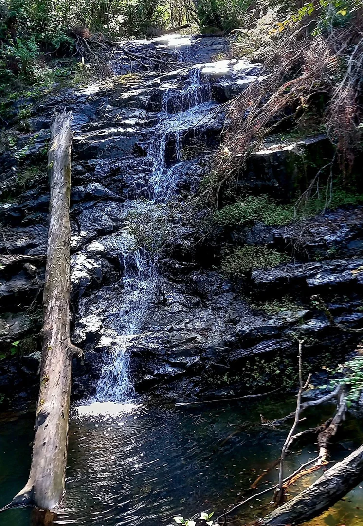 Additional image 34 of Bellangry NSW 2446