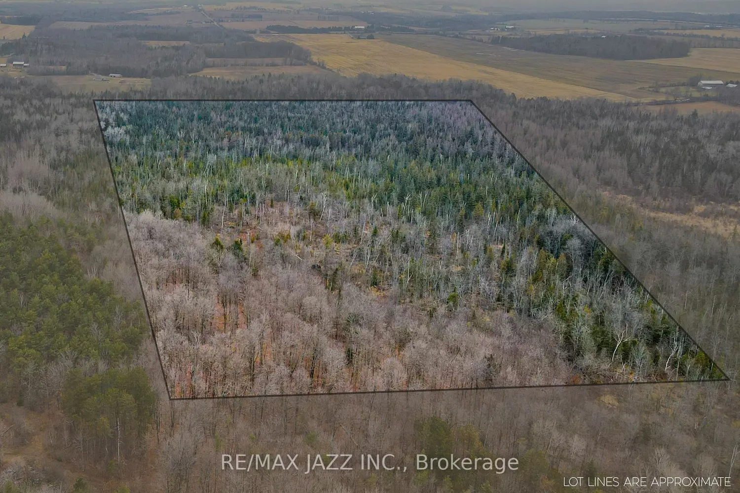 Additional image 16 of 0 Ballyduff Road