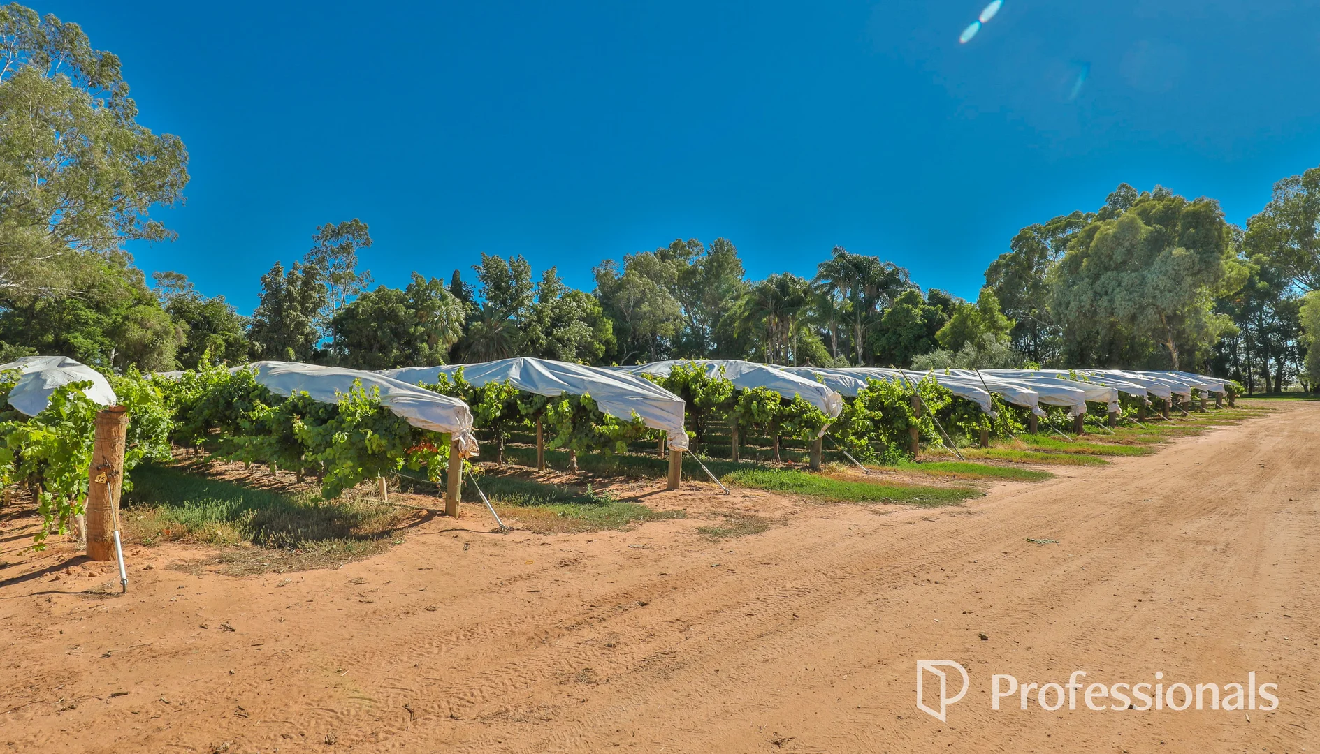 Additional image 4 of Level (Lot 2, PS911361M)/Cnr Twentieth Street & Boobook Avenue, Cardross VIC 3496