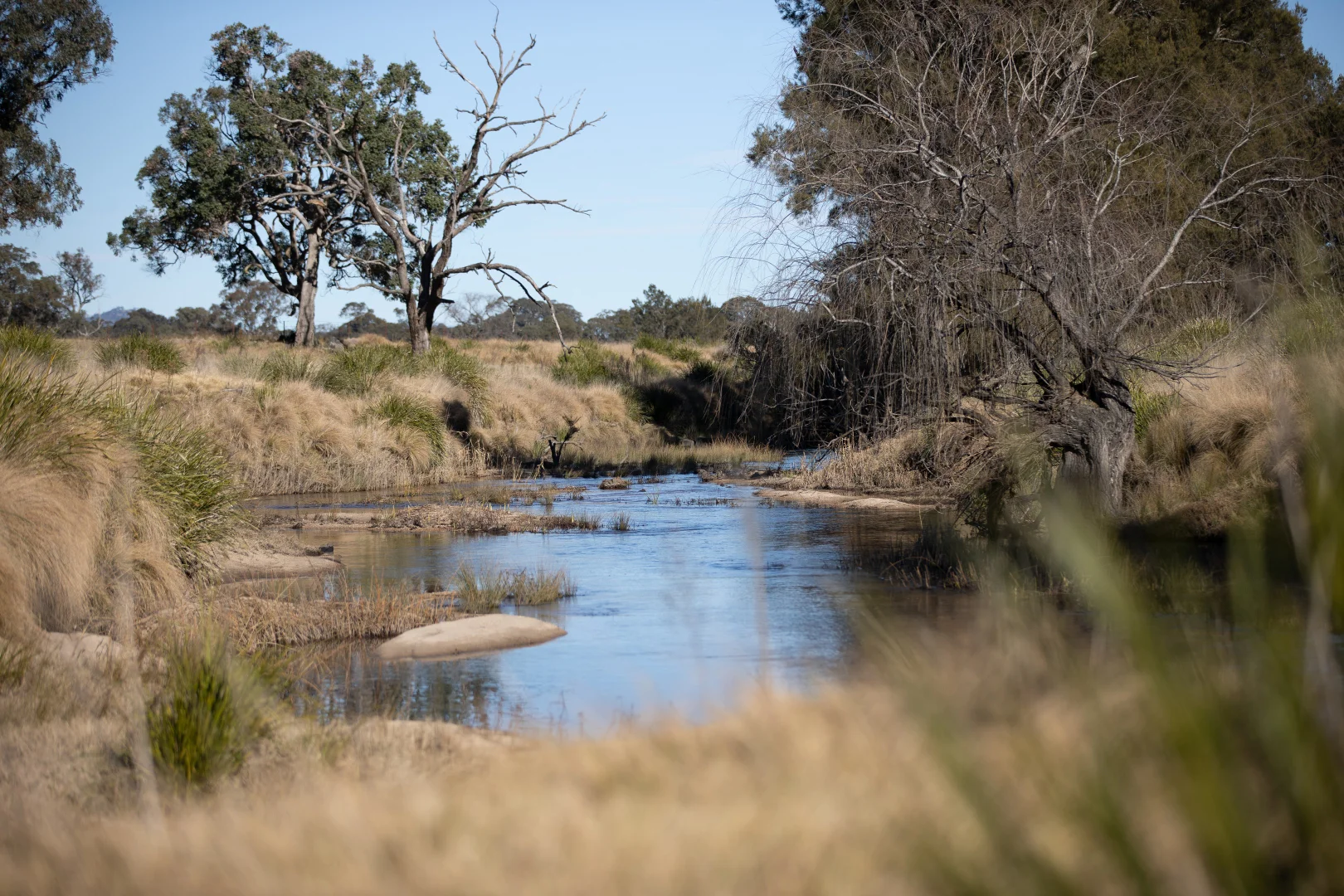 Additional image 23 of 214 Tarban Loop Road, Tenterfield NSW 2372
