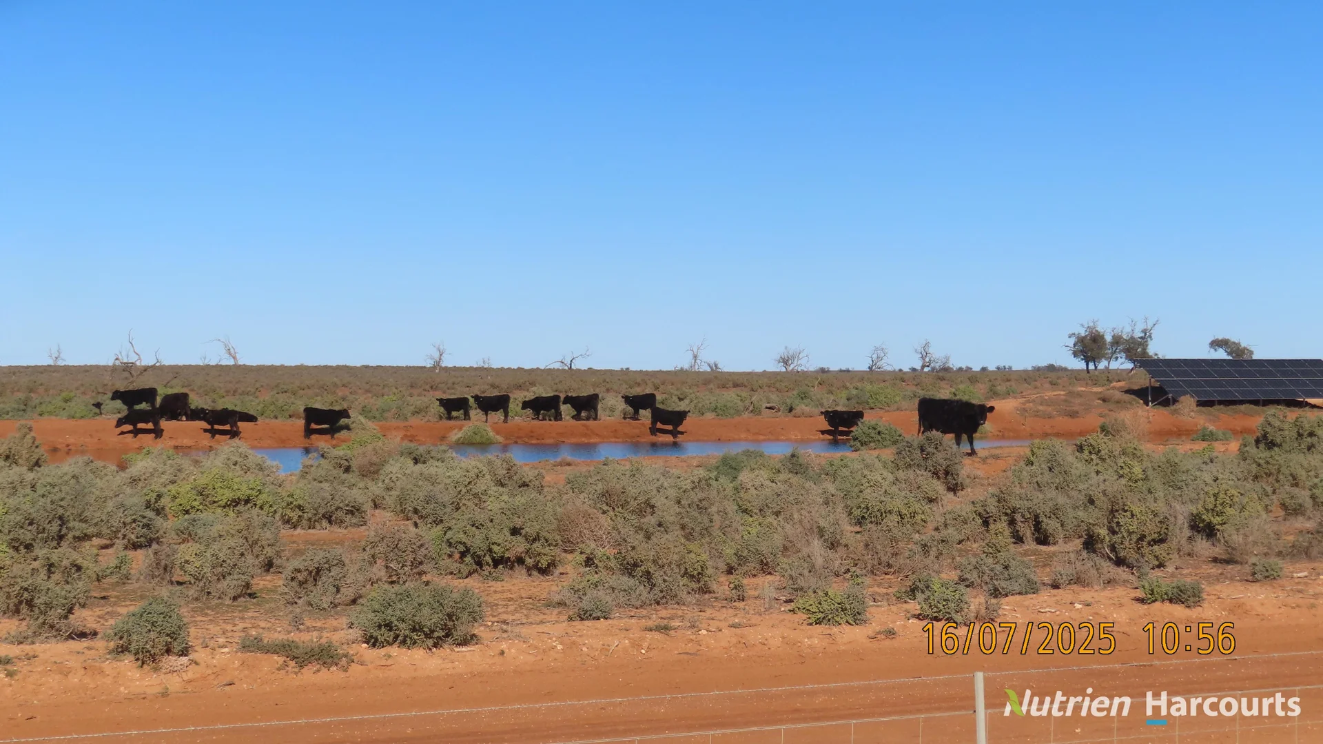 Additional image 5 of * Magenta Aggregation, Balranald NSW 2715