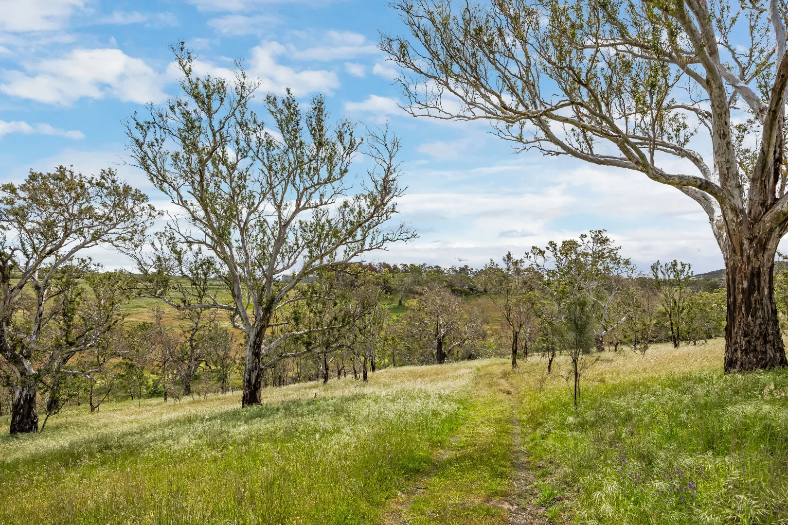 Additional image 27 of 83 Spring Lane, Mount Barker Springs SA 5251