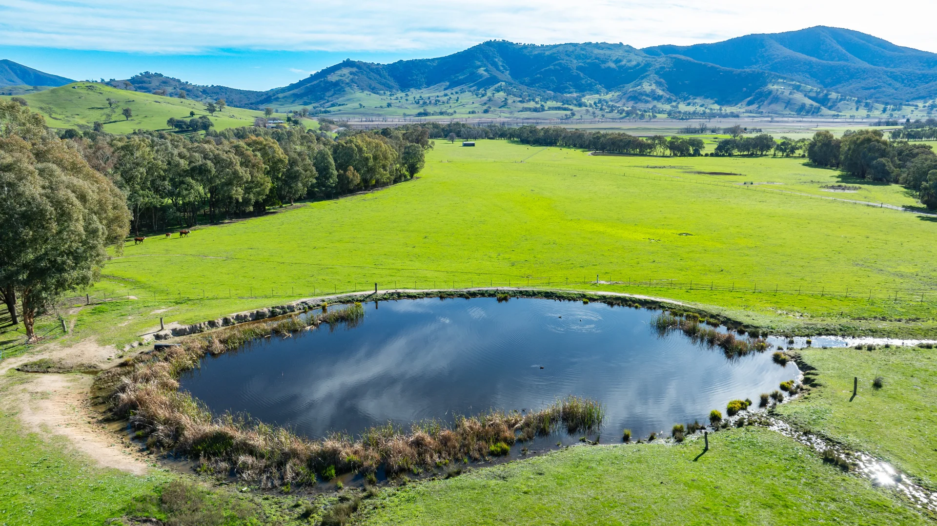 Additional image 18 of 3972 Murray River Road, Bungil VIC 3691