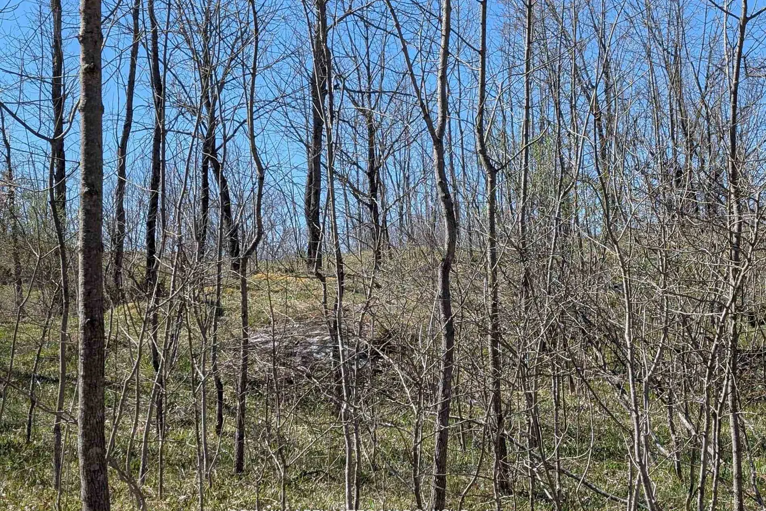 Additional image 4 of 0 Little Crosby Lake Road