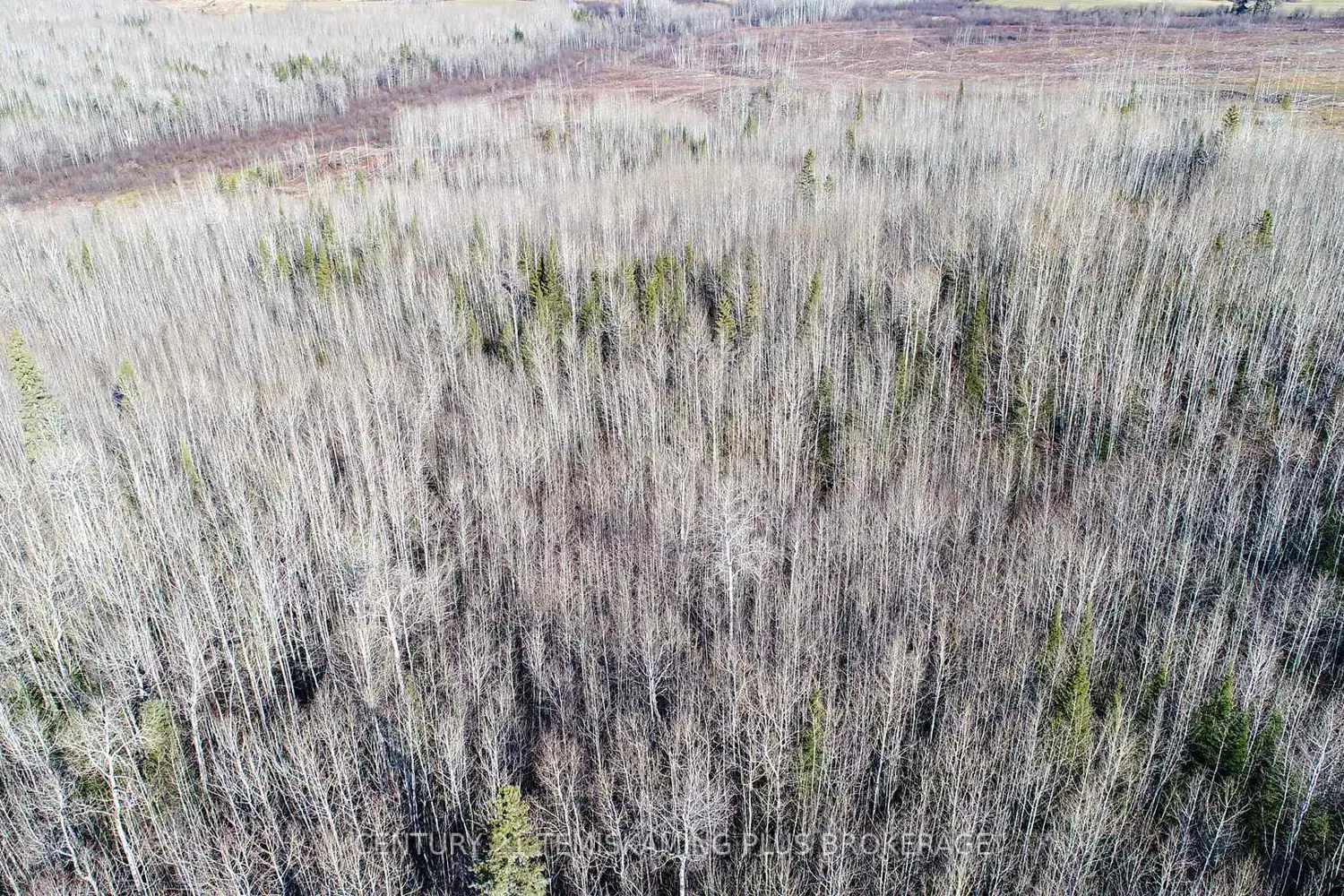 Additional image 19 of Pt 4 Cabin Road