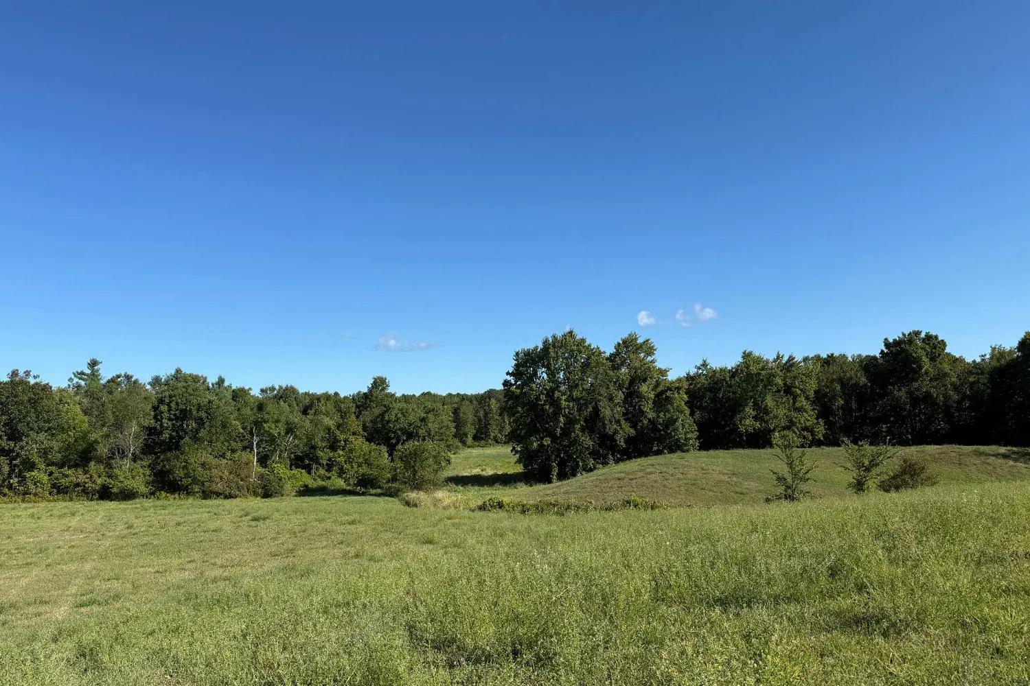 Additional image 4 of 0 Deloro Road