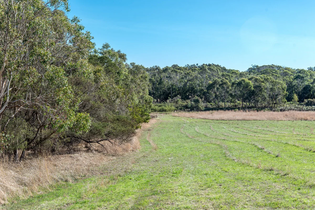 Additional image 4 of 52 Bonnie View, Bolwarra VIC 3305