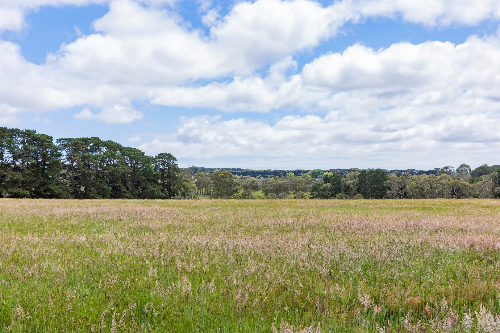 Additional image 2 of 8 Wonderland Avenue, Tuerong VIC 3915