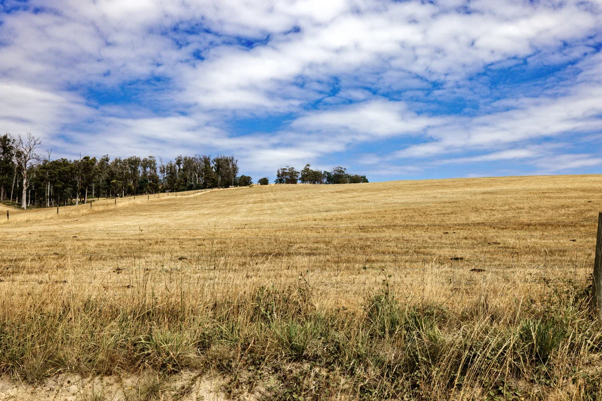Additional image 2 of 110a Paling Track, Bangor TAS 7267