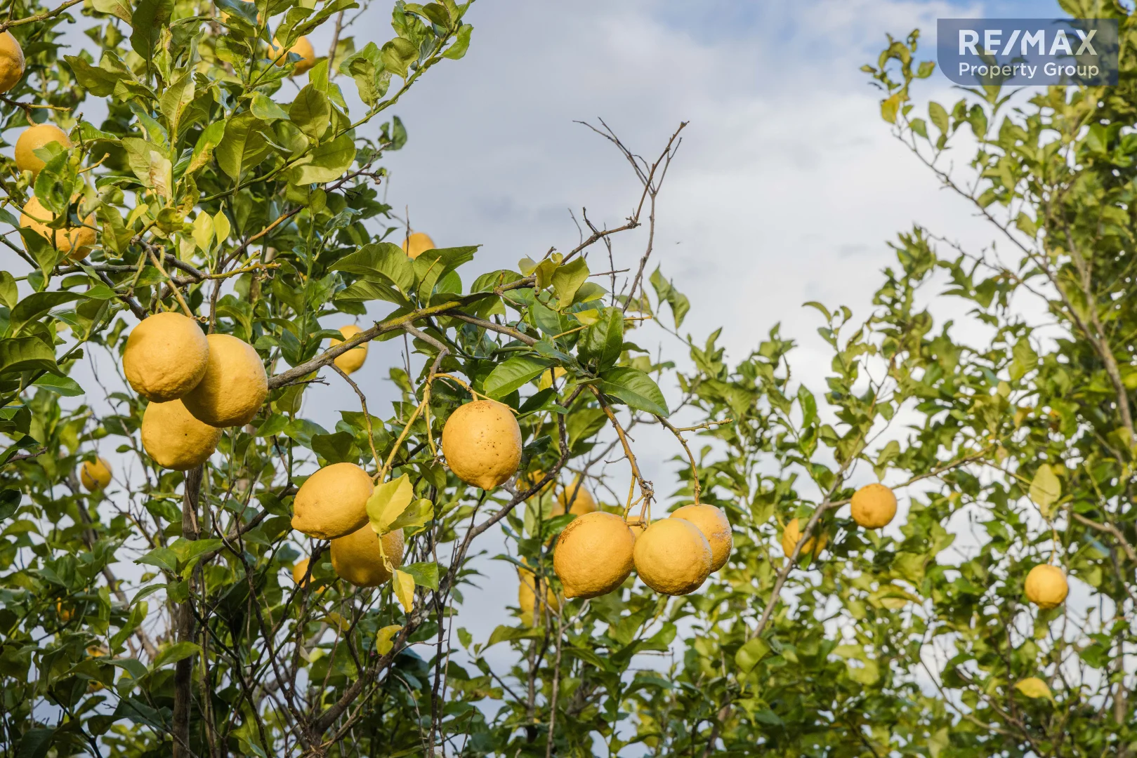 Additional image 17 of 2 Reilly Road, Woolooga QLD 4570