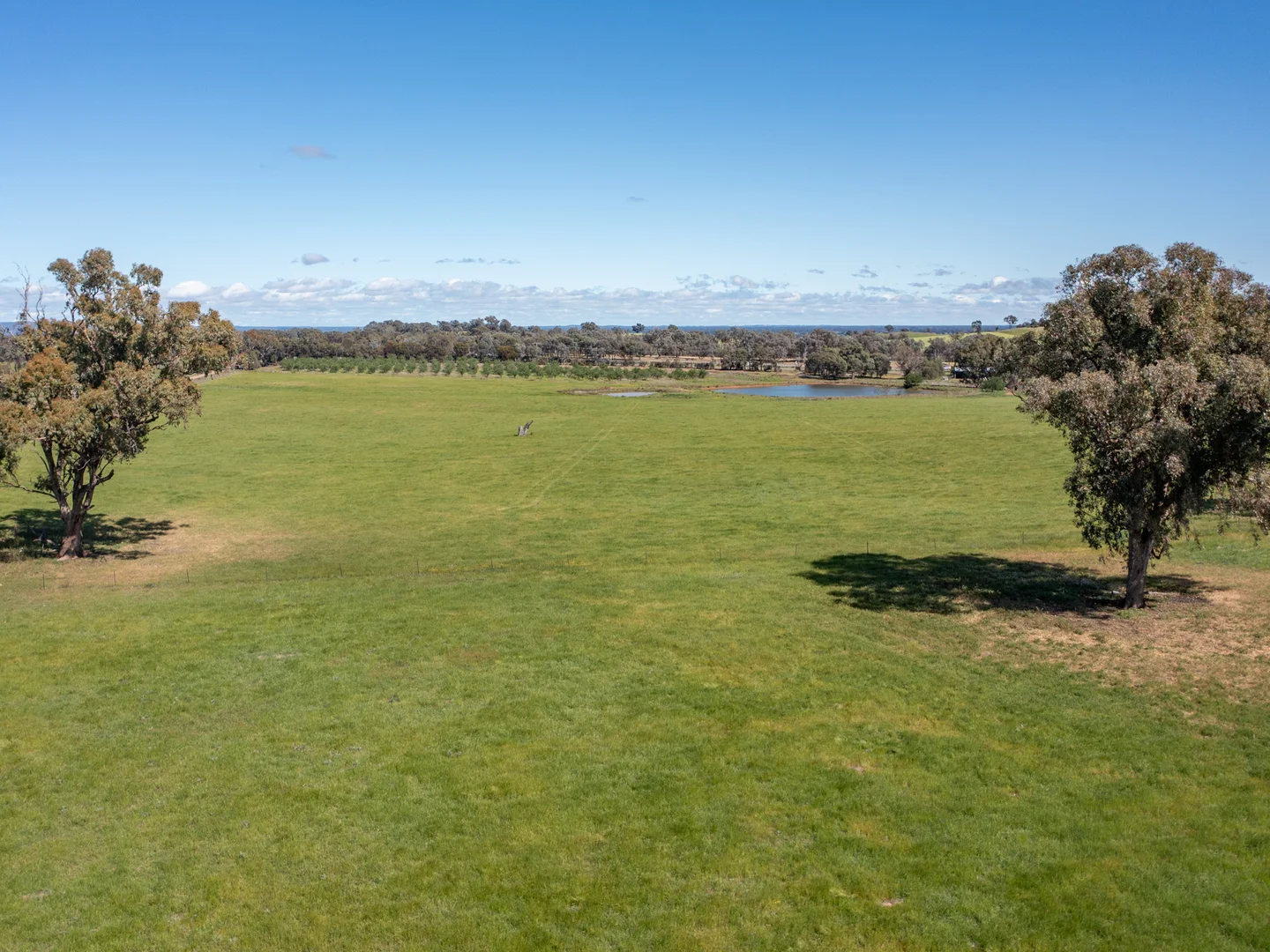 Additional image 9 of 00 Cluggs Road, Springhurst VIC 3682