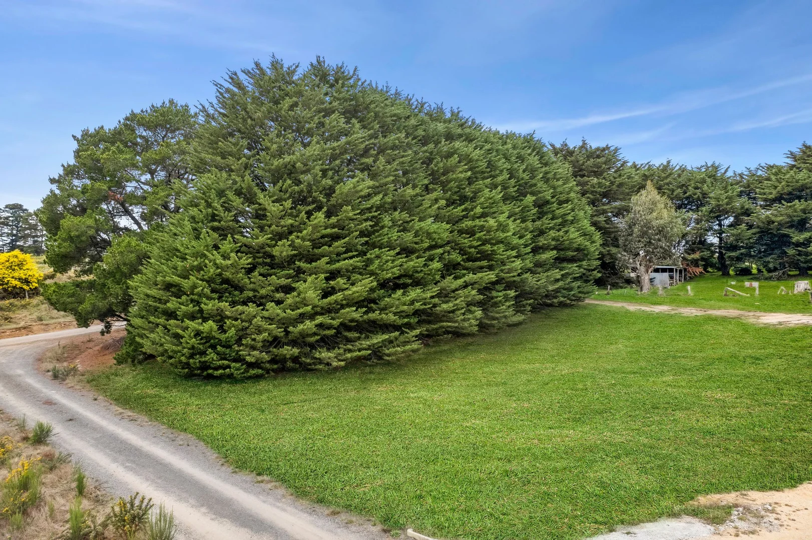 Additional image 7 of Lot 20/31 Urquhart Street, Malmsbury VIC 3446