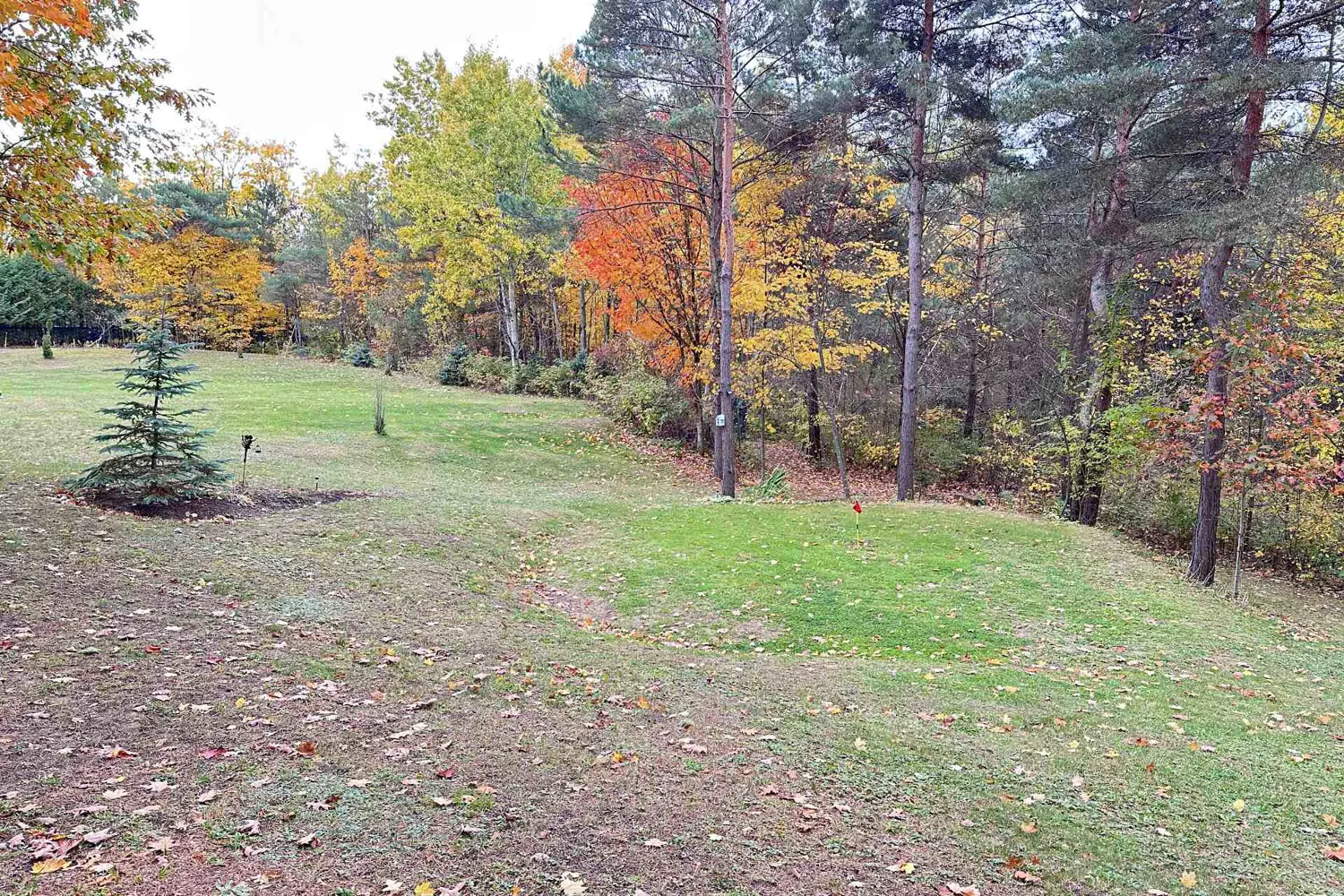 Additional image 12 of 26 Cranborne Chase