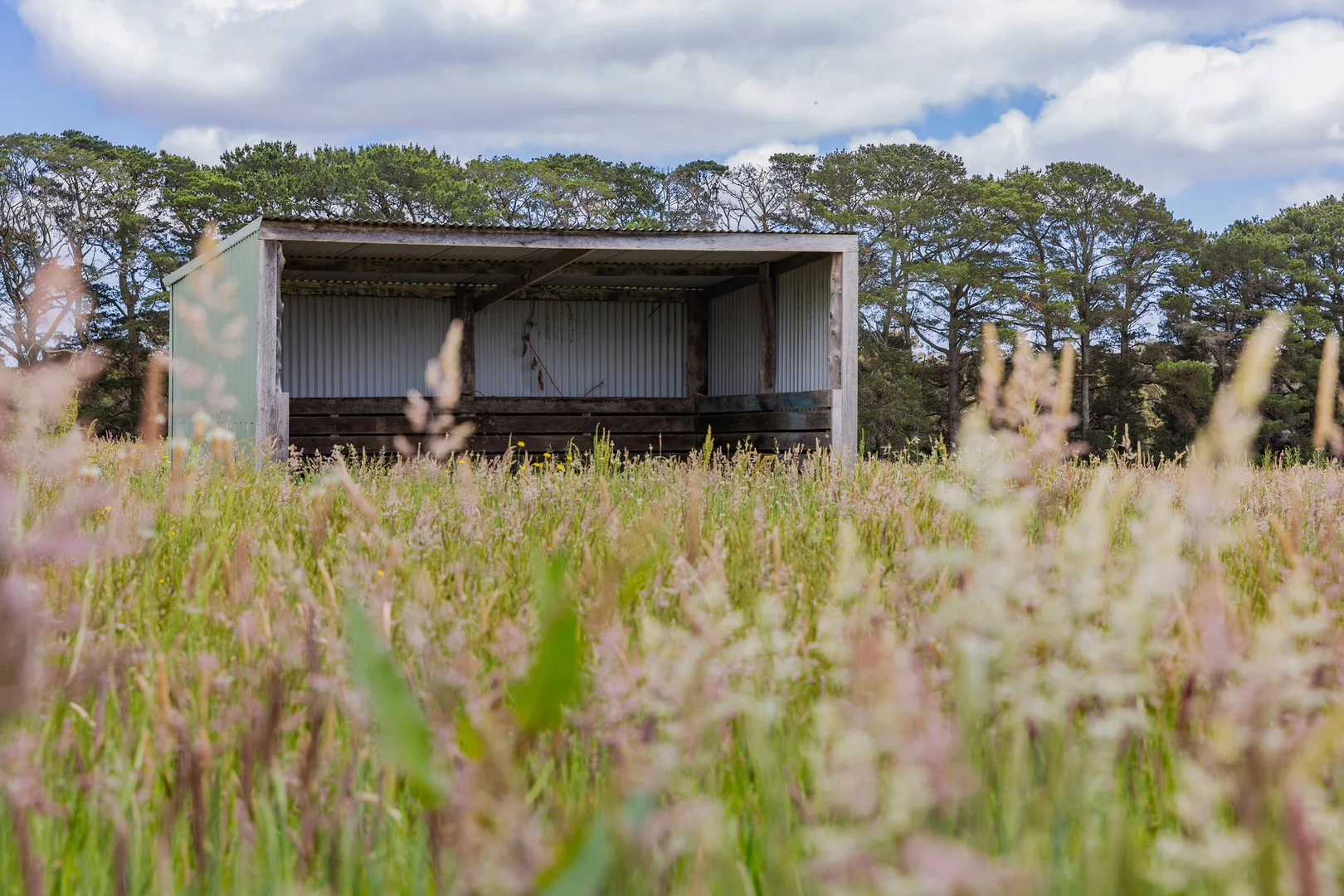 Additional image 4 of 8 Wonderland Avenue, Tuerong VIC 3915