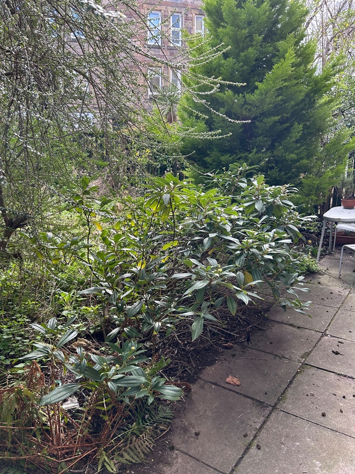 Additional image 12 of 2 Bed Flat, Milton Street, EH8, N1 7GU