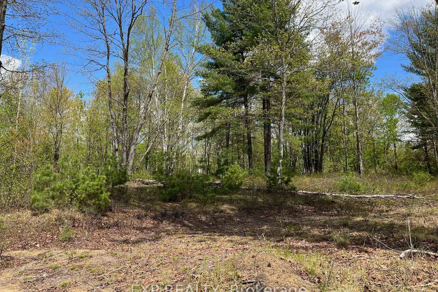 Additional image 4 of Lot 15 Sandy Shores Trail