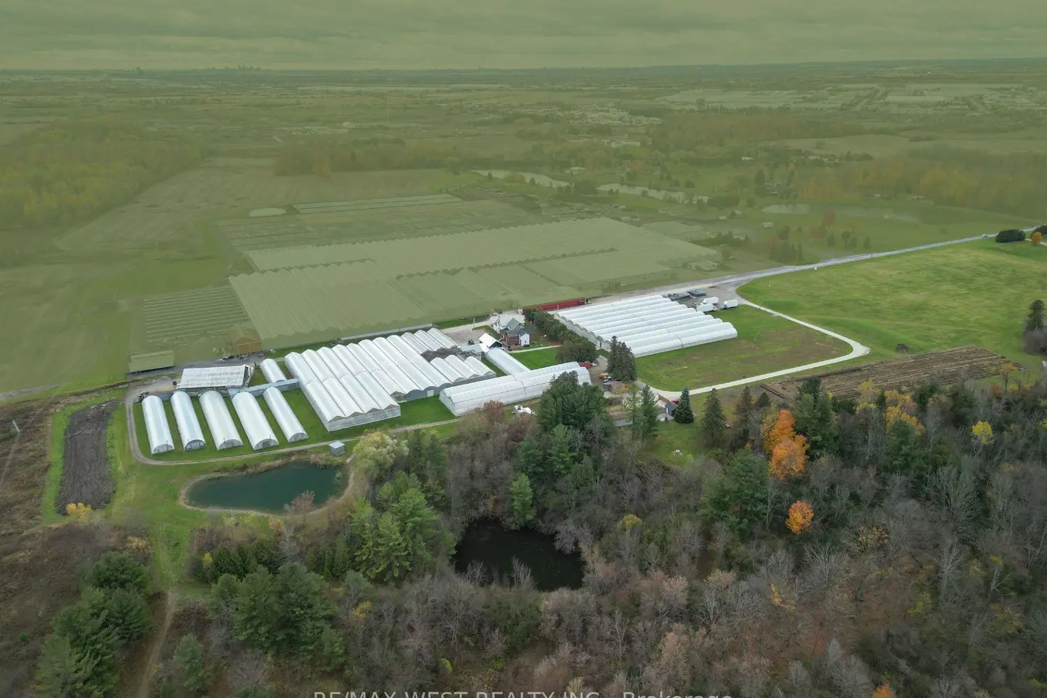 Additional image 10 of 11871 Cold Creek Road