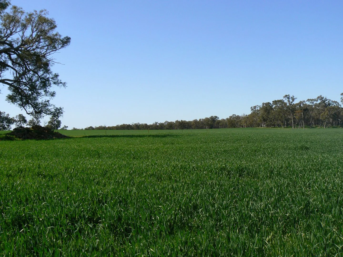 Additional image 2 of Lot/6 Six Mile Road, Mayanup WA 6244