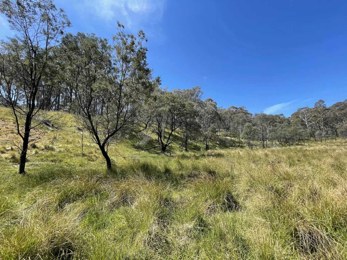 Additional image 10 of 925 Marked Tree Road, Gundaroo NSW 2620