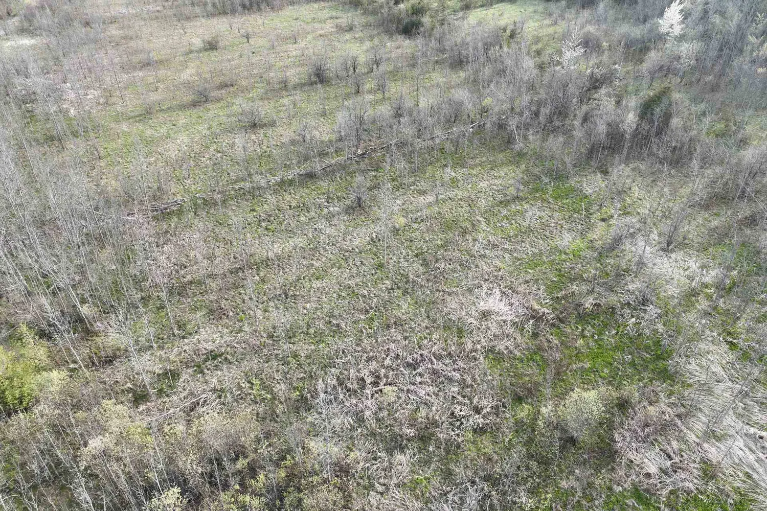 Additional image 11 of 454 Balmy Beach Road