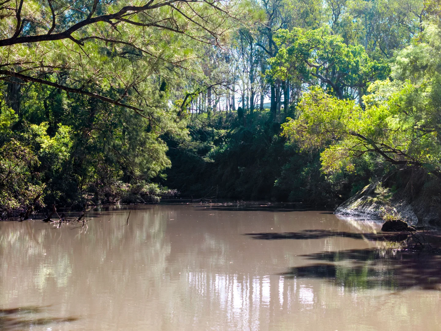 Additional image 36 of 119 Paddys Flat Road, Tabulam NSW 2469