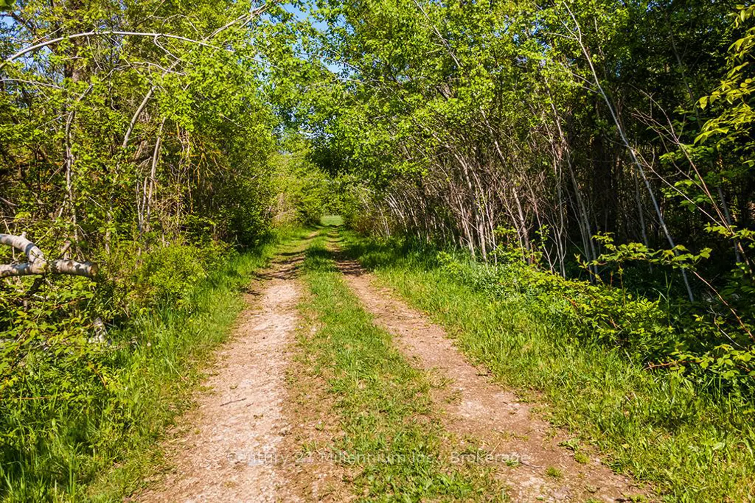 Additional image 10 of 375533 6Th Line