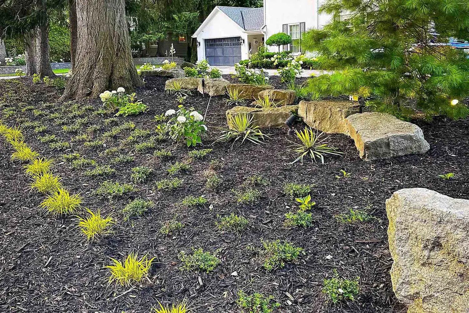 Additional image 6 of 317 Gloucester Avenue