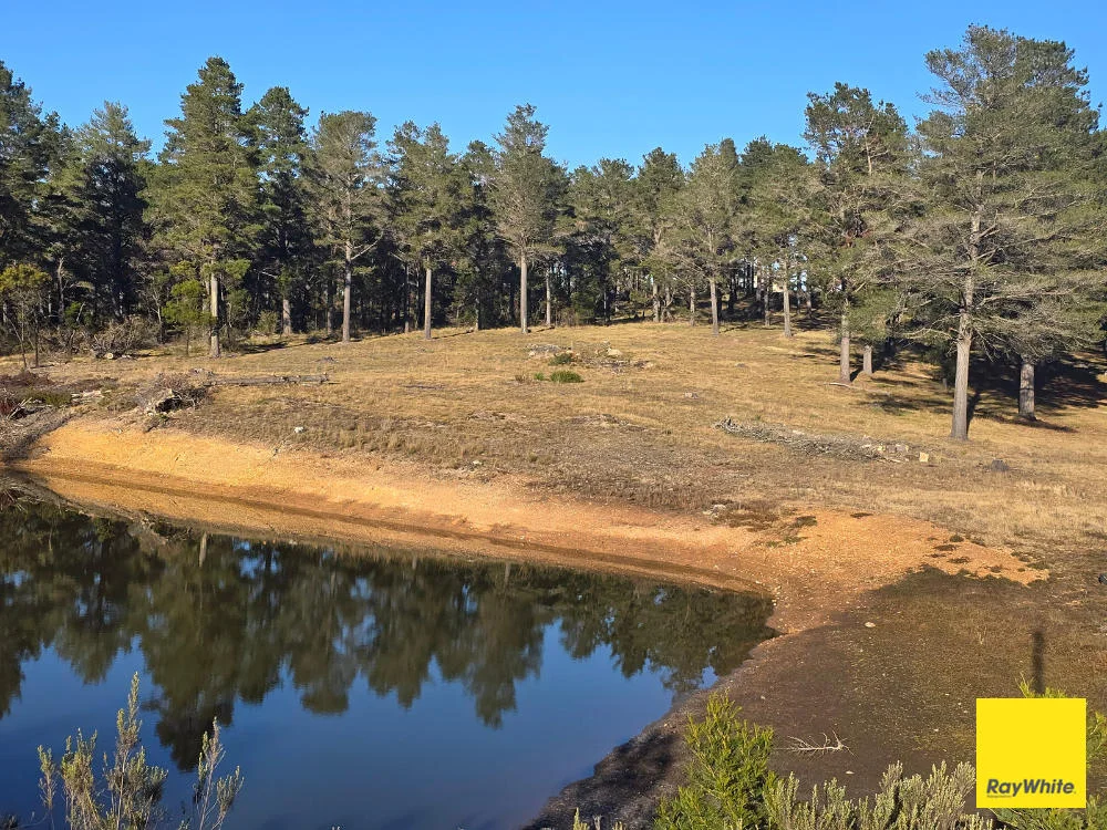 Additional image 12 of 270 Pine Bank Drive, Lower Boro NSW 2580